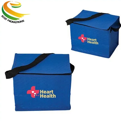 Manufacturer Customized Insulated Waterproof Picnic Food Cooler Bag with Shoulder Strap