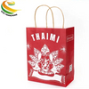 Colorful Kraft Gift Paper Bag Paper Shopping Bag with Twisted Handle 