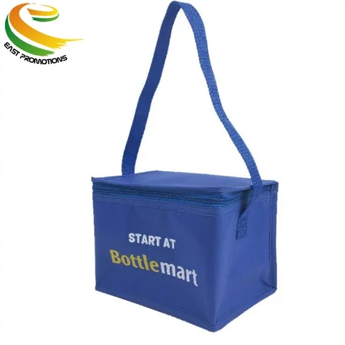 Customized Non Woven Insulated Thermal Lunch Food Cooler Bag Promotional Picnic Shoulder Bag for Outdoor