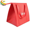 Custom Logo Insulated Reusable Large Waterproof Refrigerated Non Woven Tote Picnic Cooler Bag