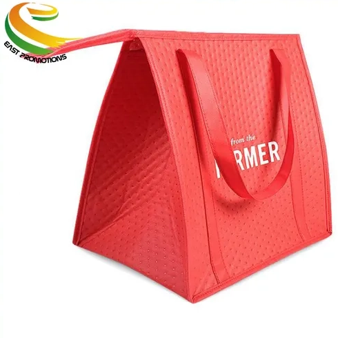 Custom Logo Insulated Reusable Large Waterproof Refrigerated Non Woven Tote Picnic Cooler Bag