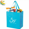 Custom Foldable Promotional Eco-friendly 120g Non Woven Shopping Bag Grocery Bag 
