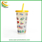 Customized 24oz BPA Free Reusable Plastic Cold Magic Drinking Tumblers Cups with Straw